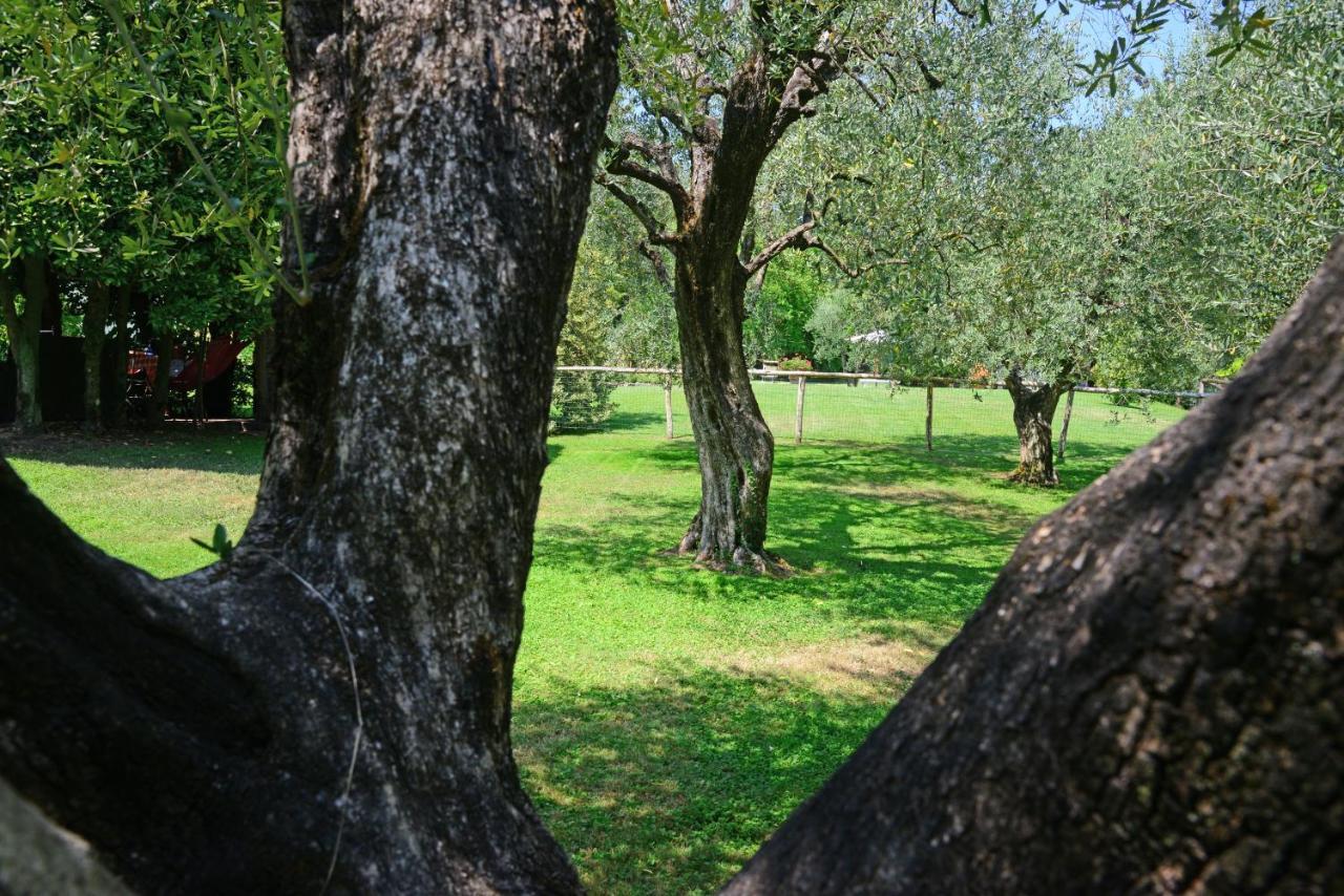 Agriturismo Corte Stefani 卡潘诺里 外观 照片