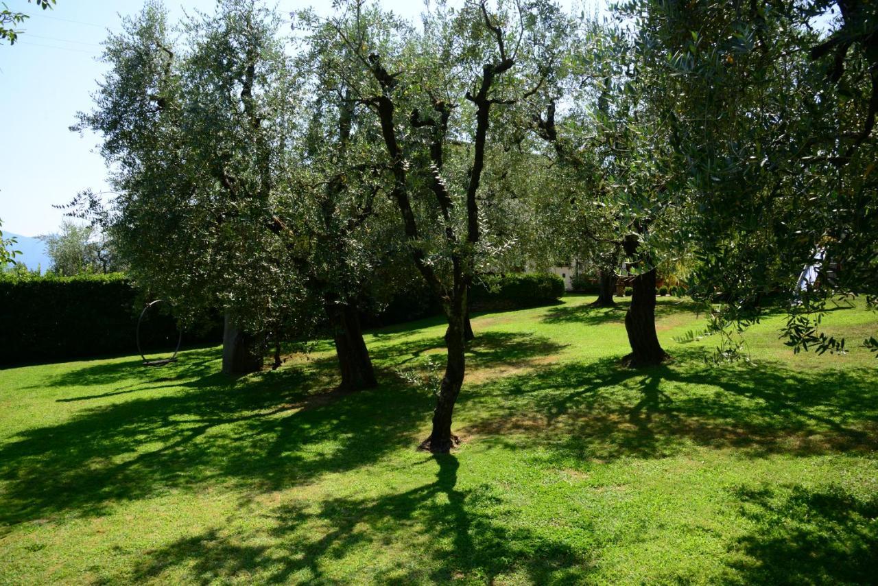 Agriturismo Corte Stefani 卡潘诺里 外观 照片