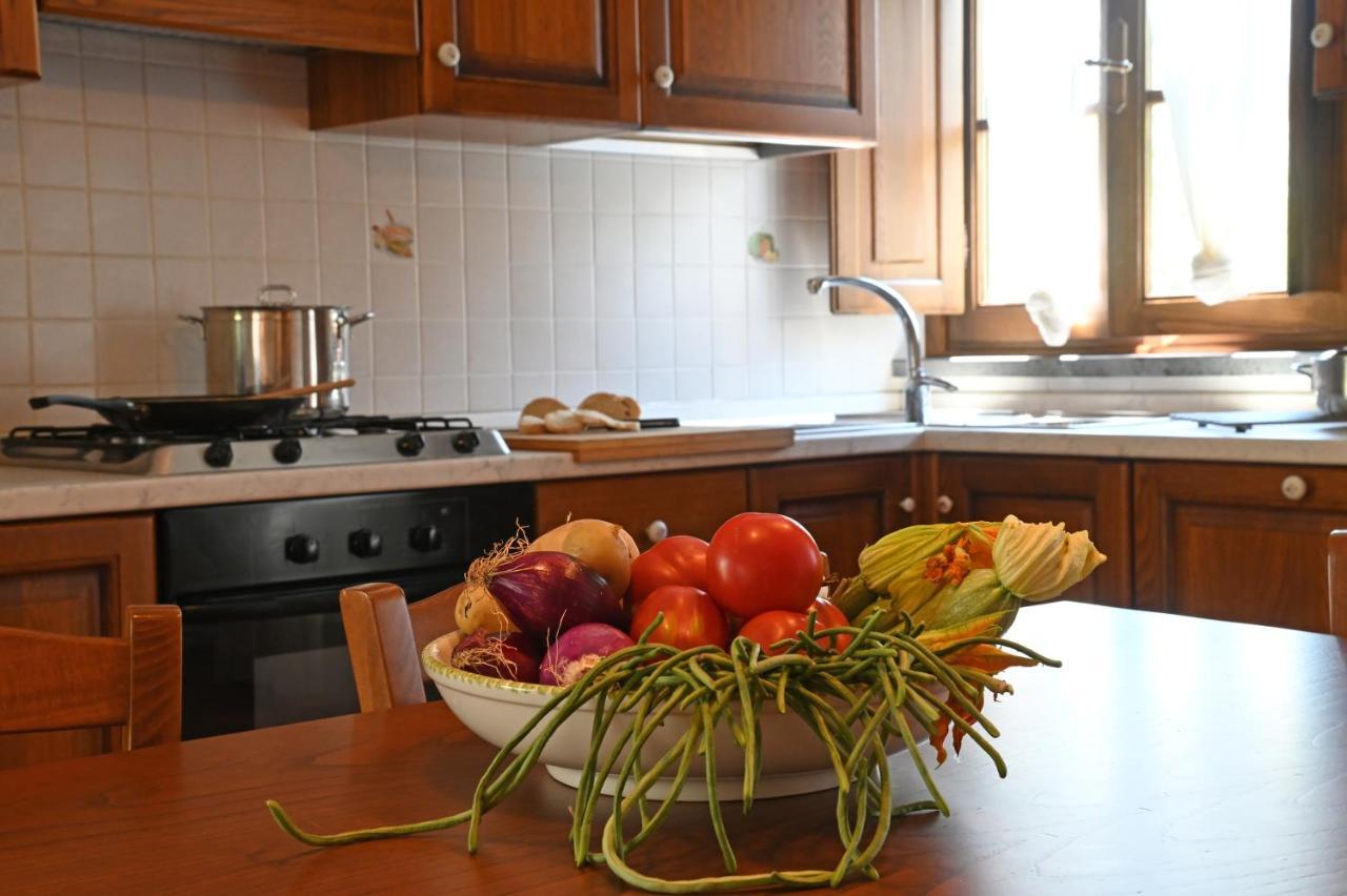 Agriturismo Corte Stefani 卡潘诺里 外观 照片